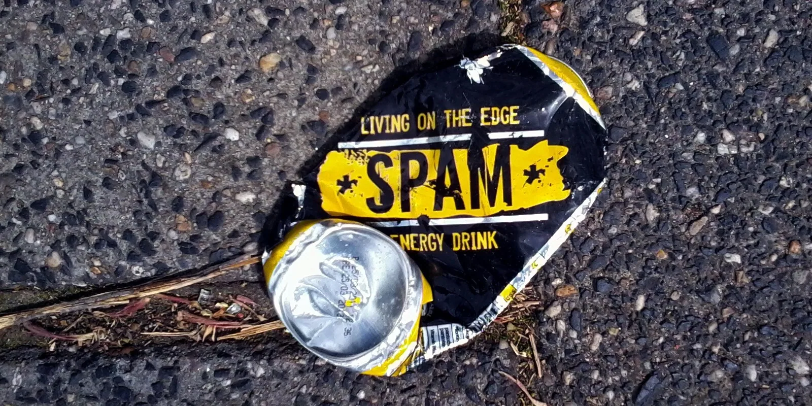 Business Network Spam