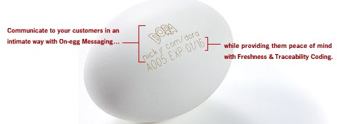 Branded Eggs - EggFusion