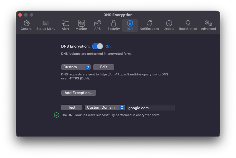 Little Snitch DNS Encryption set to a custom server, with the test reporting that lookups were performed in encrypted form