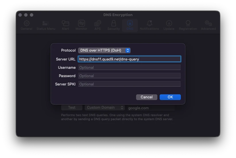 The Little Snitch custom DNS server dialog with DNS over HTTPS selected and the dns11.quad9.net server URL entered